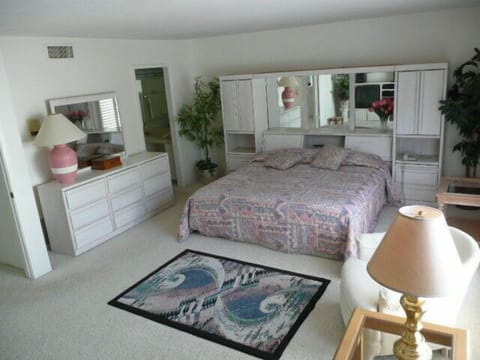 master suite 17' X 22' WITH WALK IN CLOSET.
TV, STEREO, DVD PLAYER IN THE ROOM