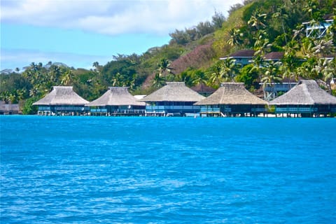 Brando's Bora Bora Bungalow is the first bungalow on the right.