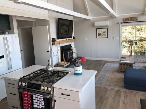 64" Flat Screen with DishTV