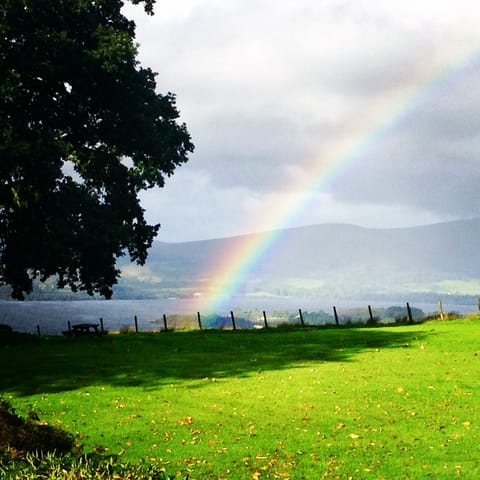 Lucky pot of gold at the end of the rainbow in the garden