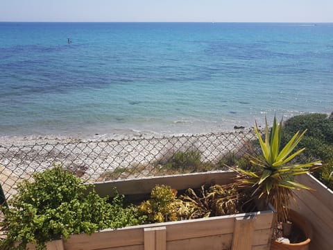 On the beach, sun loungers