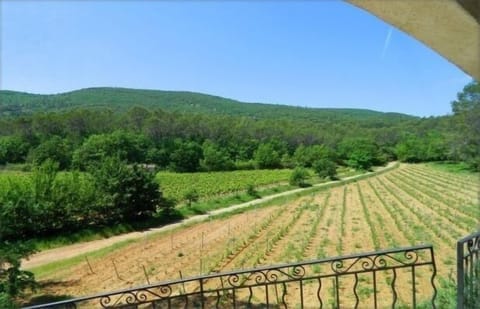 View from the shaded terrace