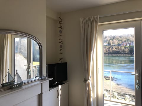 Nice cosy coal effect fire in the living room.