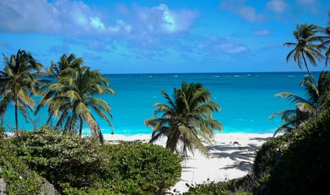 On the beach, sun loungers