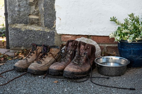 Bring your dog and enjoy the walks on your doorstep