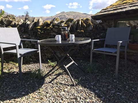 View of Wansfell from garden
