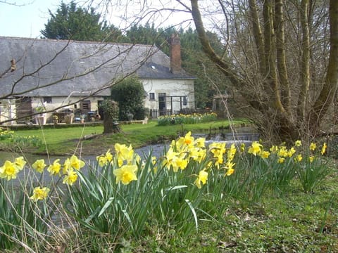 The cottage is shown on the right of the picture