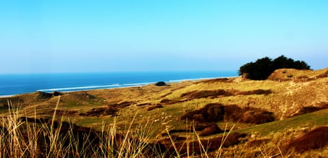 Unspolit local beach