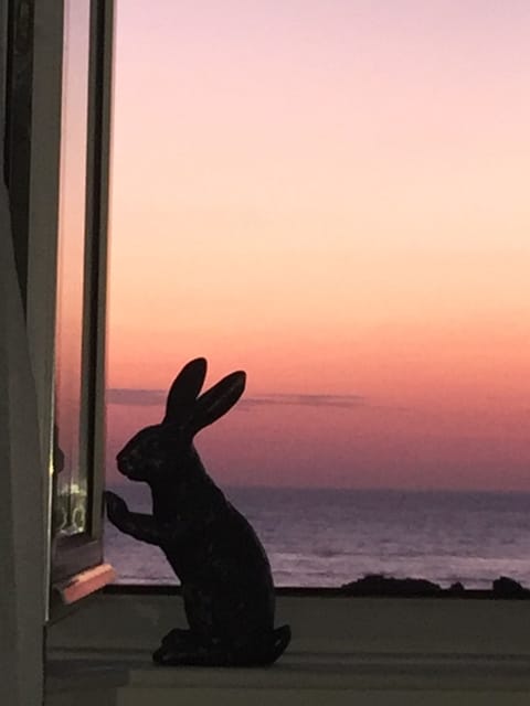 Red sky July 3rd ‘18