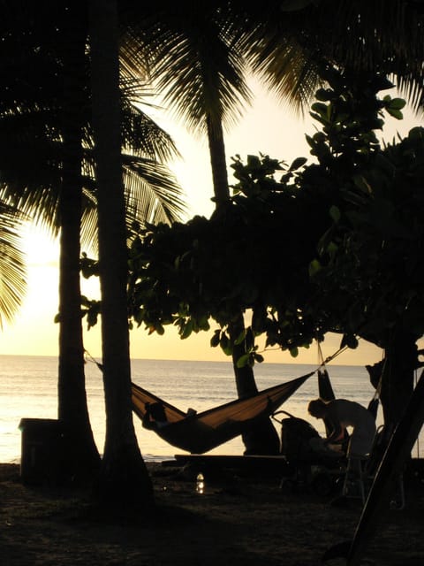 Sun loungers, beach towels