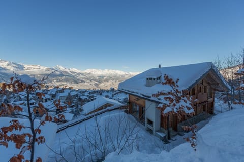 Chalet Miro in Switzerland (659)