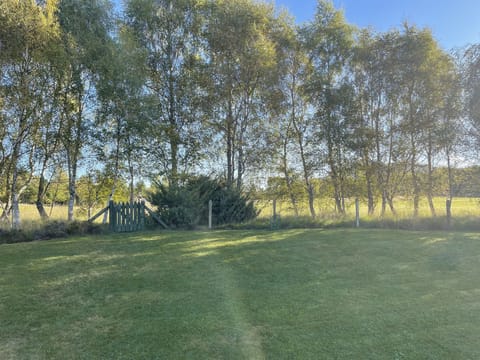 Stunning back garden