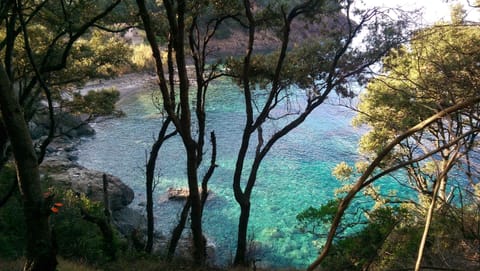 November 1st - La Cala beach