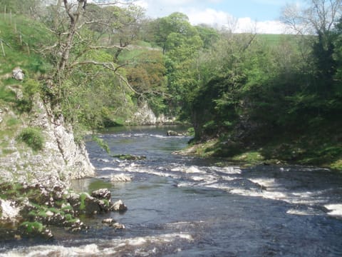 Loup Scar nr Mill Barn