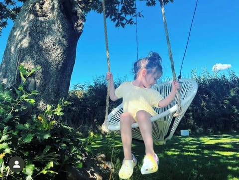 The secret swing under a beautiful old oak tree