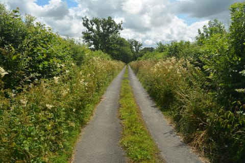 Lane leading to the Shippen