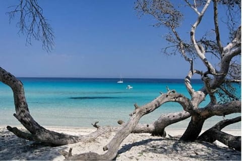 Beach nearby, sun loungers