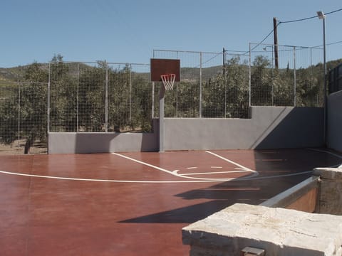 Sport court