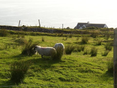 The View from the Living Room