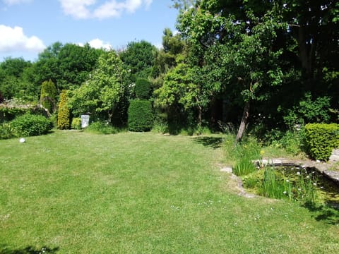 The back garden in Summer