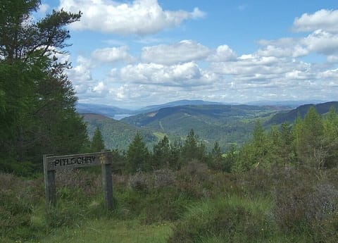 one of the many woodland walks