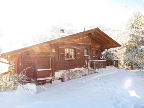The chalet from the front garden in winter.