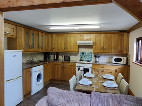 A fully fitted kitten