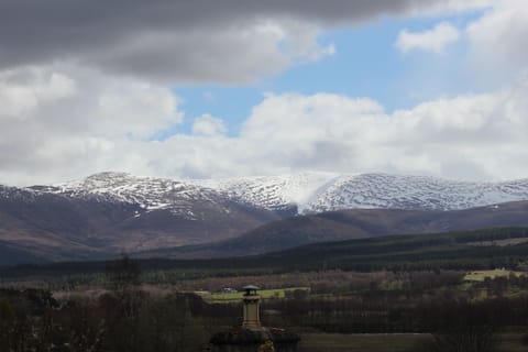 View from the decking