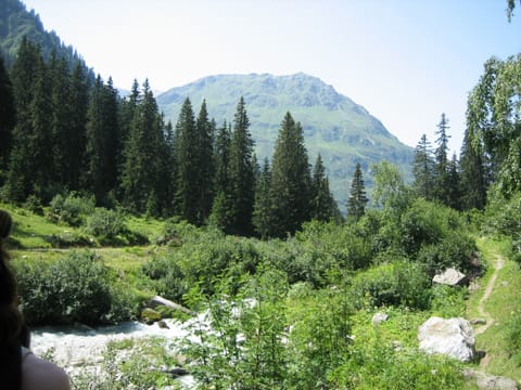 Summer hiking in the mountains