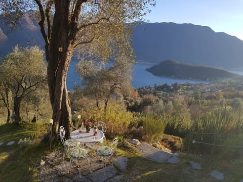 shared garden: a table with view