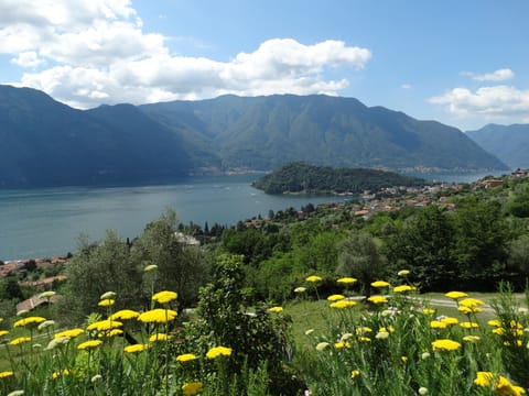 the view in late spring