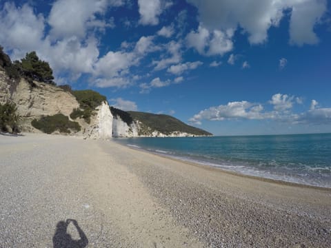 Beach nearby, sun loungers