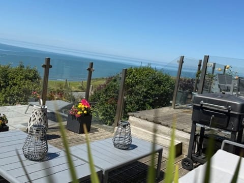 Outdoor space and BBQ