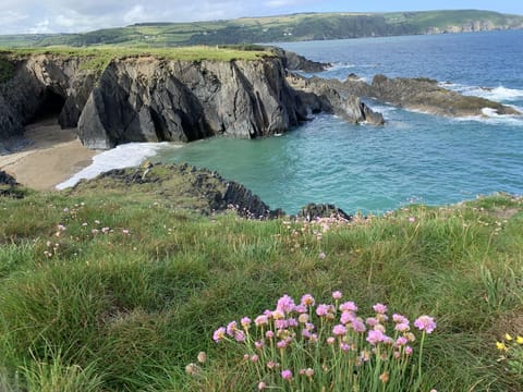 View across the local coves