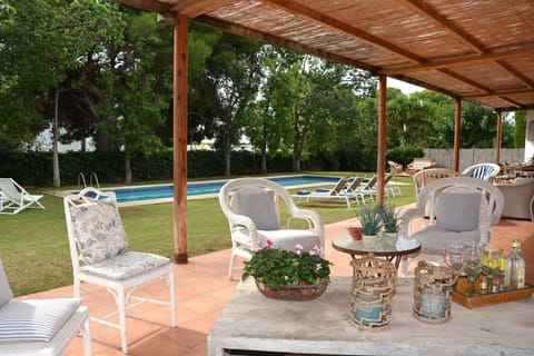 Outdoor pool, sun loungers