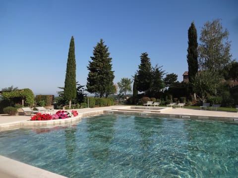 The Olympic size pool 