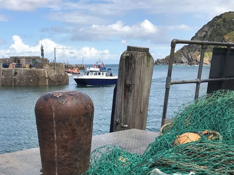 Boat trips out of Ilfracombe harbour