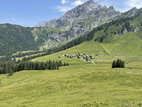 Walking to Taveyenne from Les Chaud above La Barboleuse.