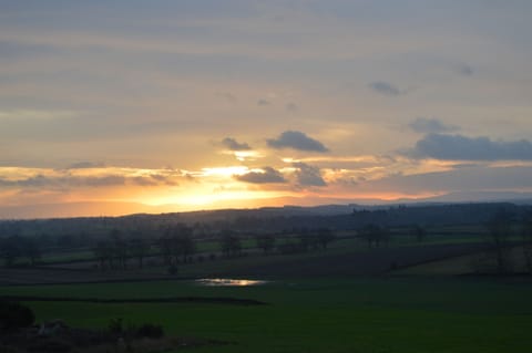 View from the edge of the local wood