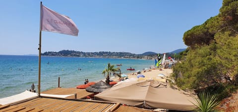 Sun loungers, beach towels