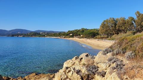 Sun loungers, beach towels