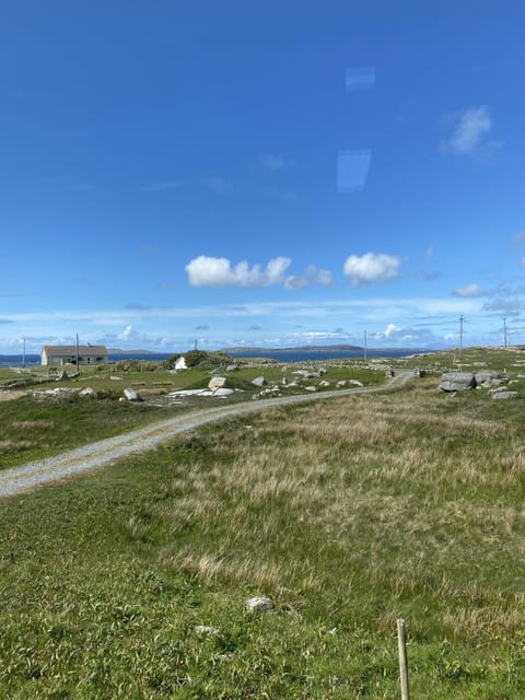 The view from the house