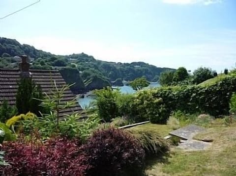 View from the garden