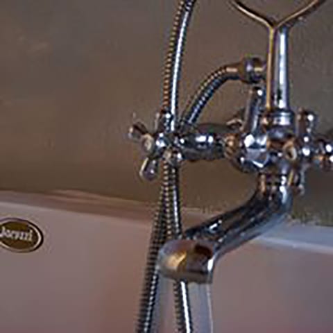 Combined shower/tub, jetted tub, hair dryer, bidet