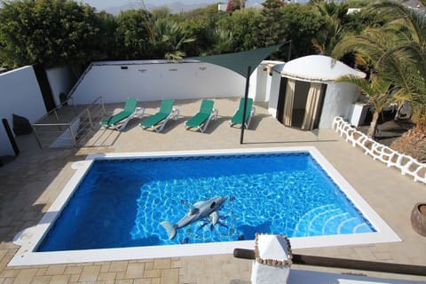 Outdoor pool, a heated pool, sun loungers