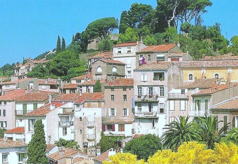 Bormes Les Mimosas Village