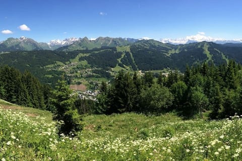 Les Gets in summer is magical