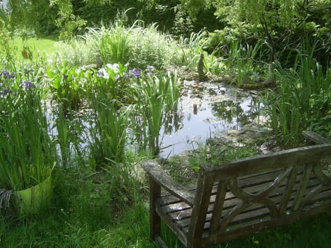 A perfect spot to meditate or read your book