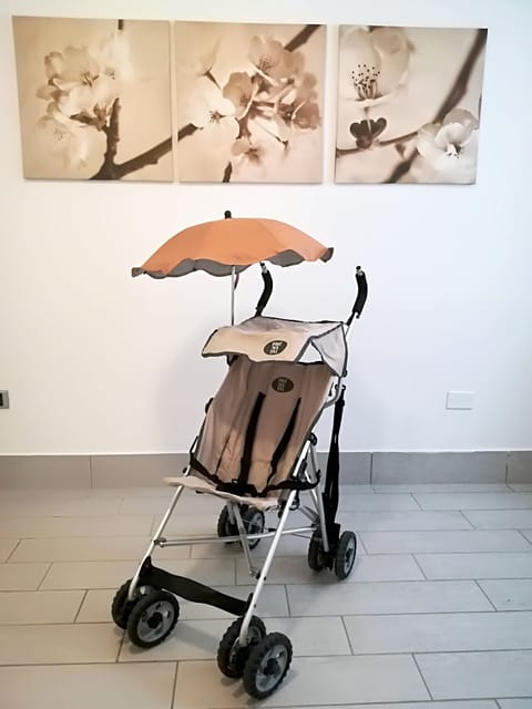 pushchair
(for rent)