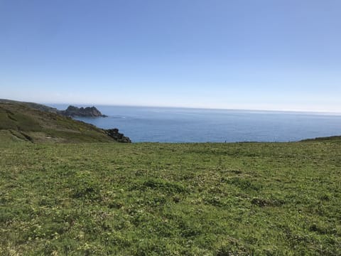 View from the field at the end of the garden leading to the coastal path
